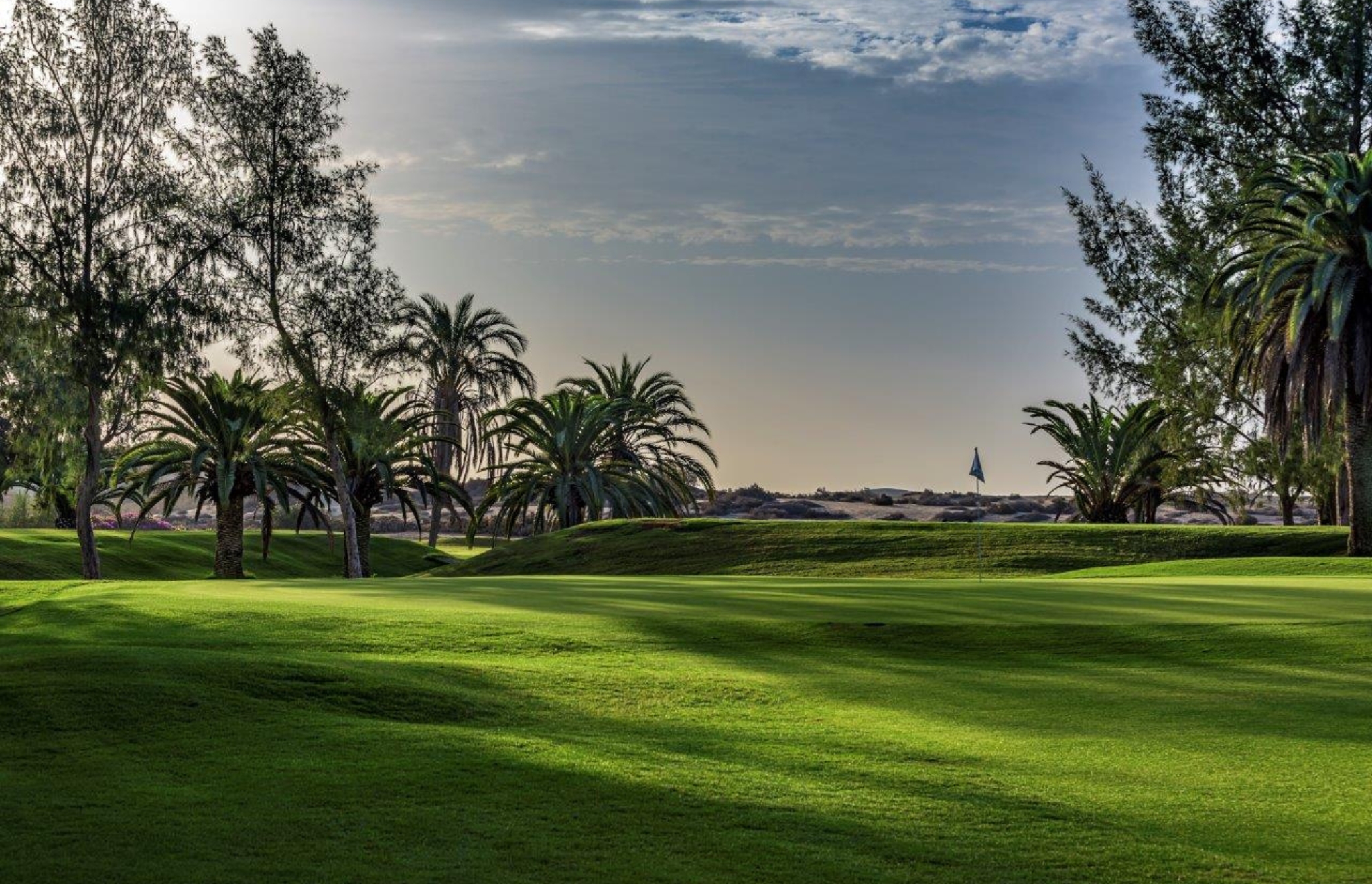 Maspalomas Golf Course green