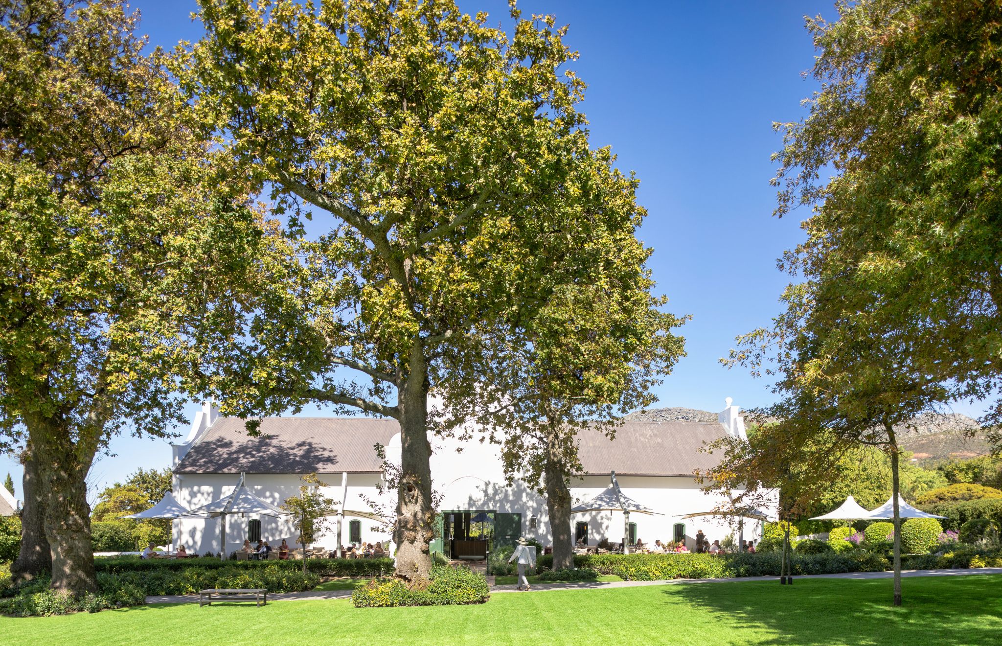 Steenberg Hotel & Spa 1